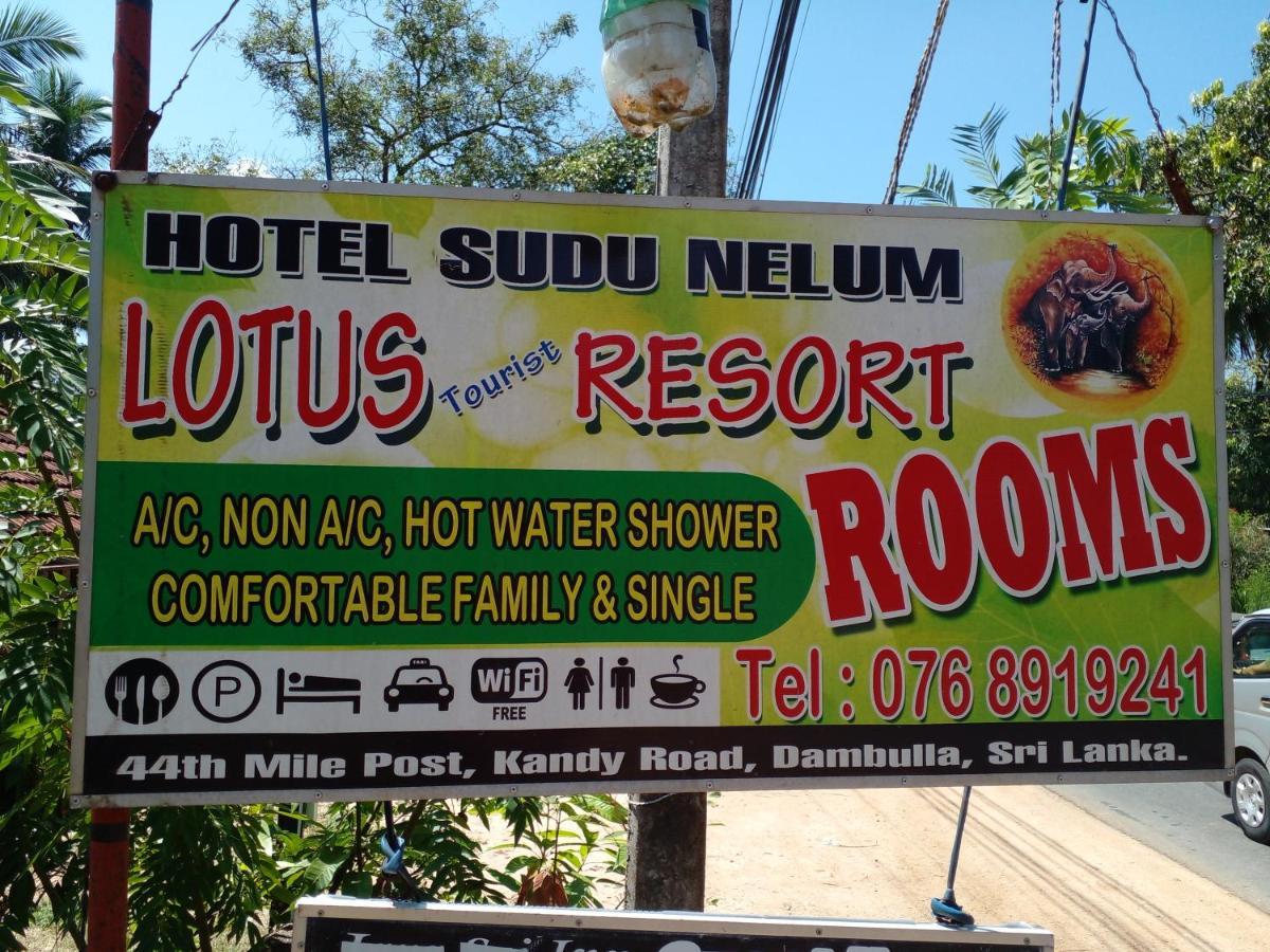 Lotus Inn Tourist Resort Dambulla Exterior photo