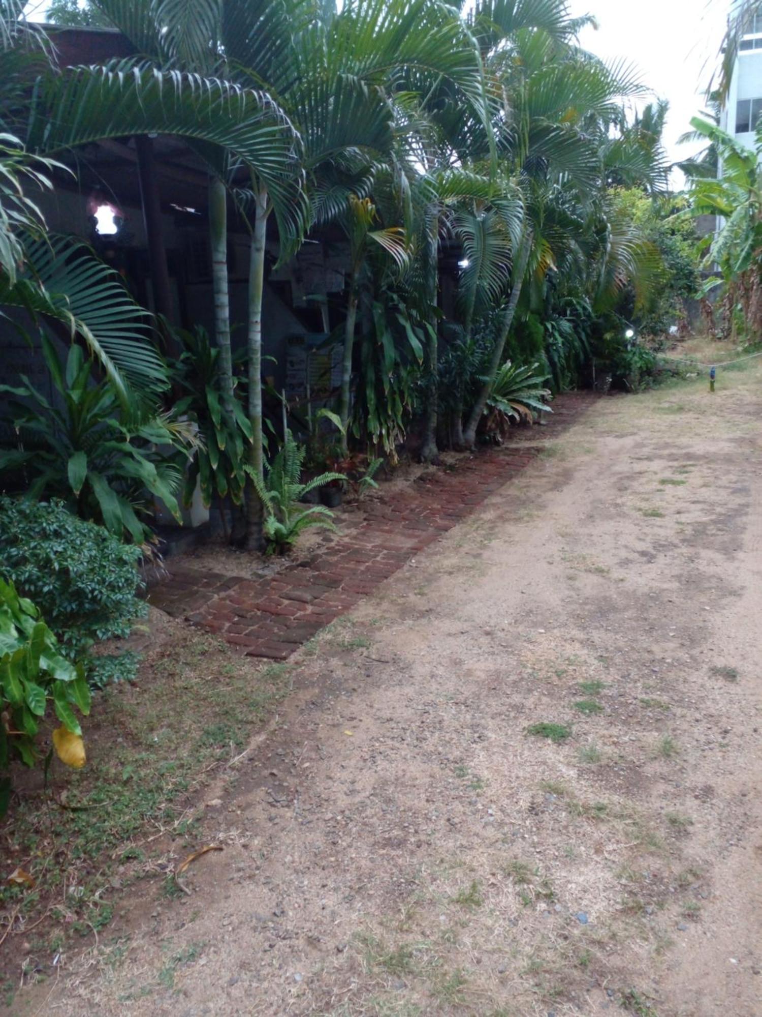 Lotus Inn Tourist Resort Dambulla Exterior photo