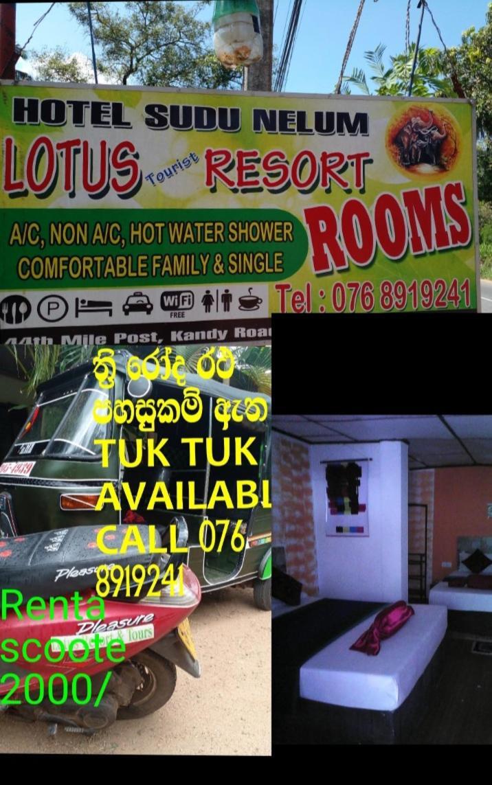 Lotus Inn Tourist Resort Dambulla Exterior photo