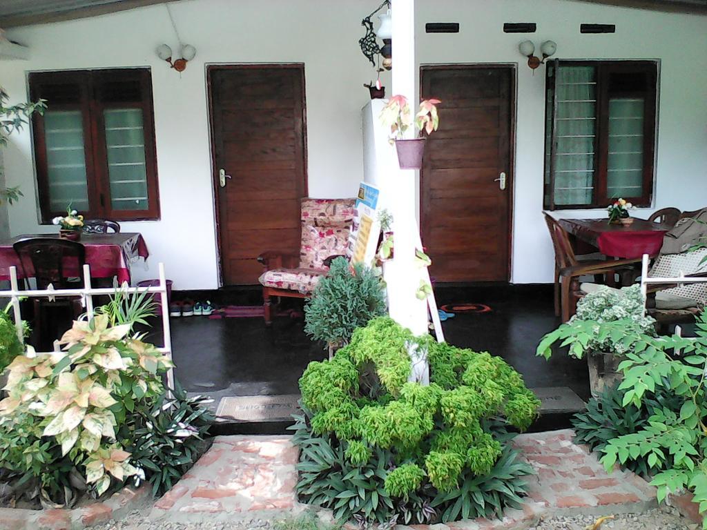Lotus Inn Tourist Resort Dambulla Exterior photo