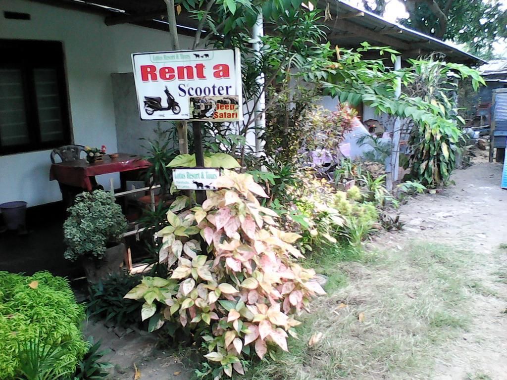 Lotus Inn Tourist Resort Dambulla Exterior photo
