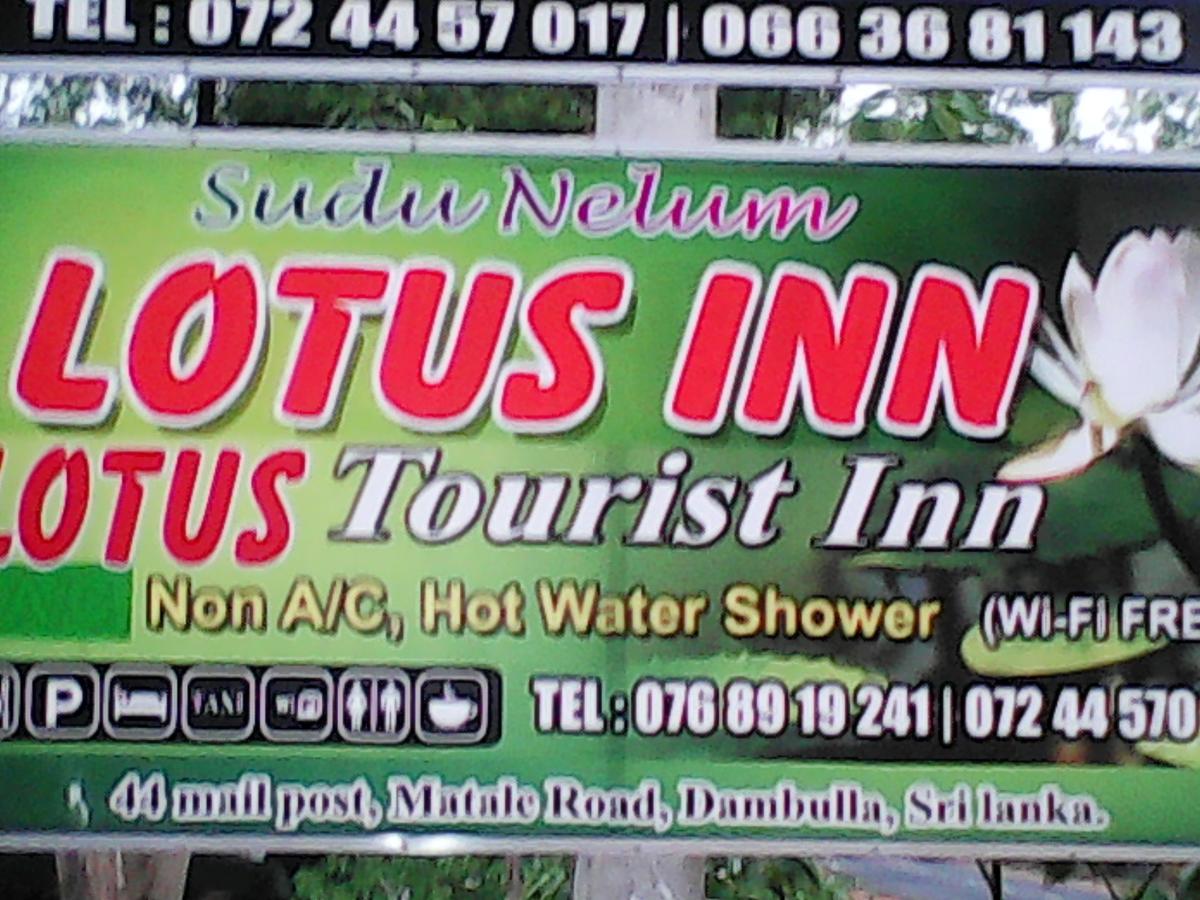 Lotus Inn Tourist Resort Dambulla Exterior photo