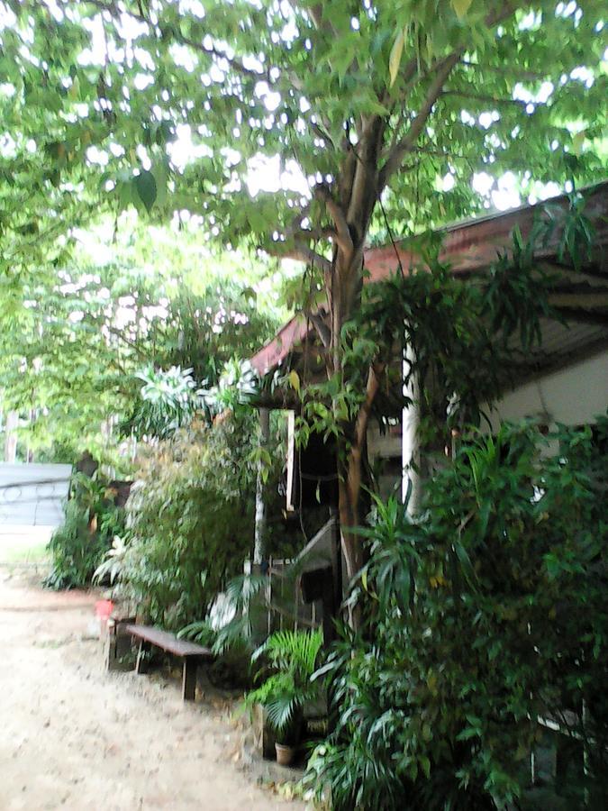 Lotus Inn Tourist Resort Dambulla Exterior photo