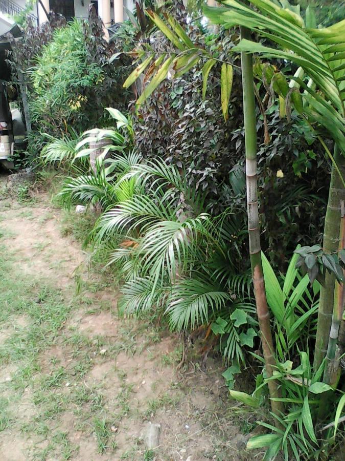 Lotus Inn Tourist Resort Dambulla Exterior photo