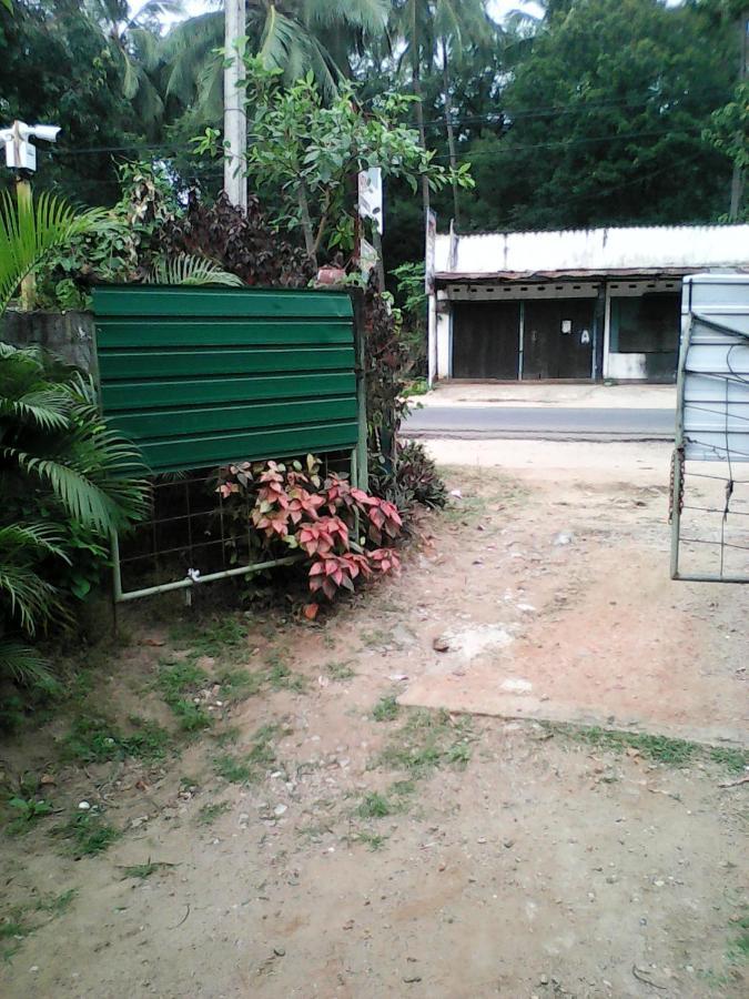 Lotus Inn Tourist Resort Dambulla Exterior photo